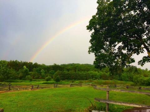 Rainbow at Farm