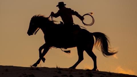 A cowboy with a whip on a horse