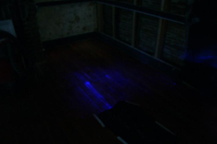 A portion of the floor in the front parlor of the Daniel Lady Farmhouse in darkness following application of the chemiluminescent agent.