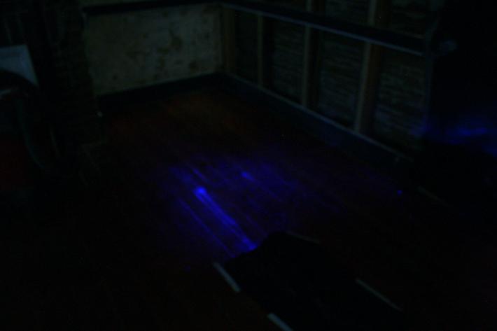 A portion of the floor in the front parlor of the Daniel Lady Farmhouse in darkness following application of the chemiluminescent agent.