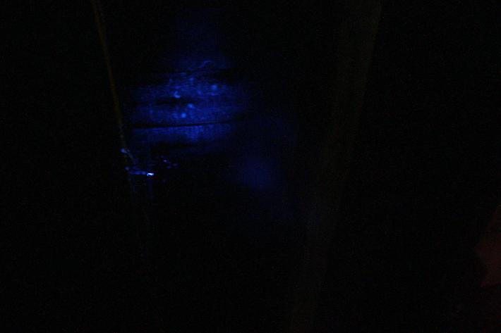 The ceiling of the cellar in darkness following application of the chemiluminescent agent.